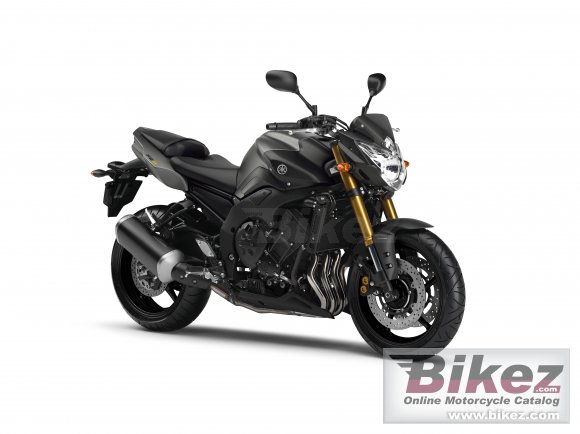 2012 Yamaha FZ8-N photo